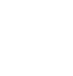 Launch and Growth Support