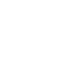 System Integration Execution